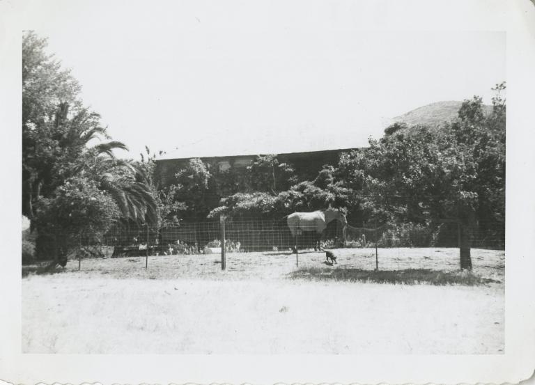Munoz Adobe 2